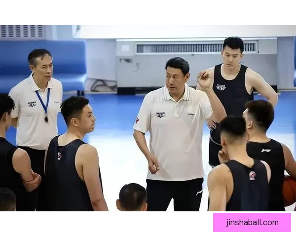 辽宁新援莱迪自述全面能力全力拼搏只为球队胜利